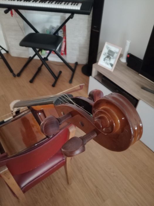 Violoncelo Stentor 1/4