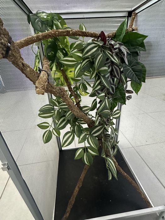Terrarium siatkowe dla kameleona