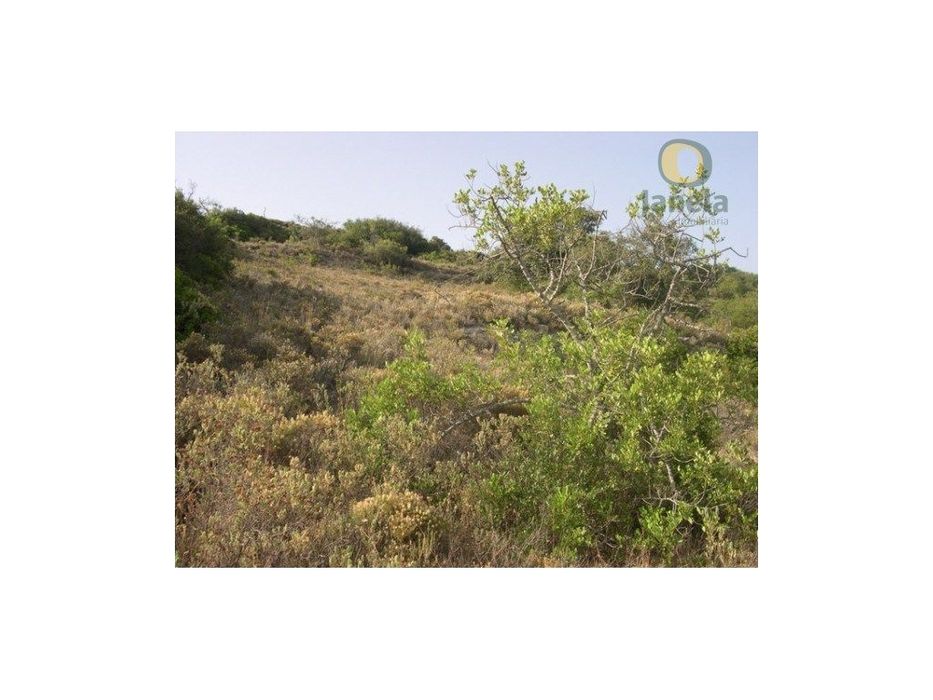Terreno com 1120 m2