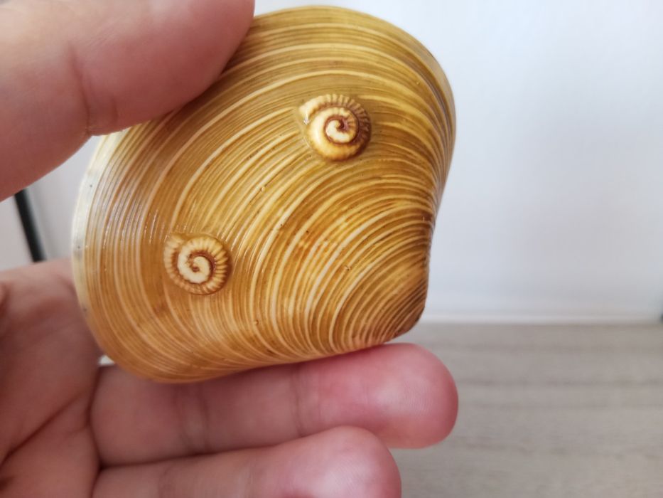 Peça antiga 40s Concha 7 Deuses da Sorte