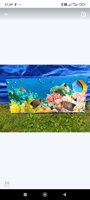 Duży obraz ocean rafa koralowa