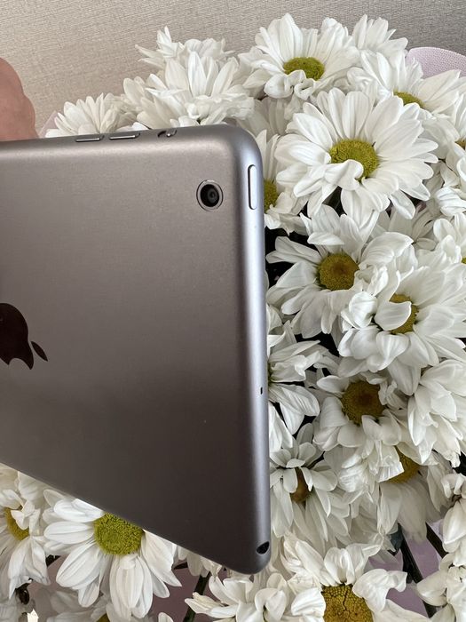Apple iPad mini з пам'яттю 16GB