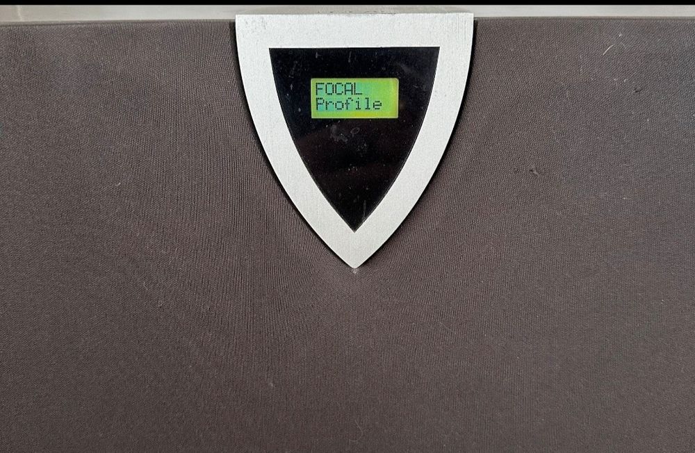 Focal 904 SW subwoofer