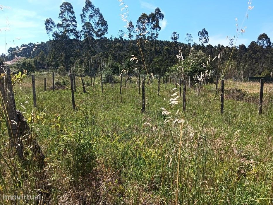 Terreno para construção de moradia - Oliveira do Bairro