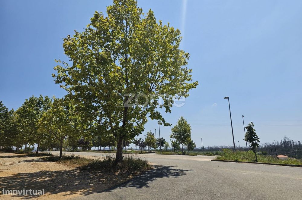Plot of Land, Valongo do Vouga