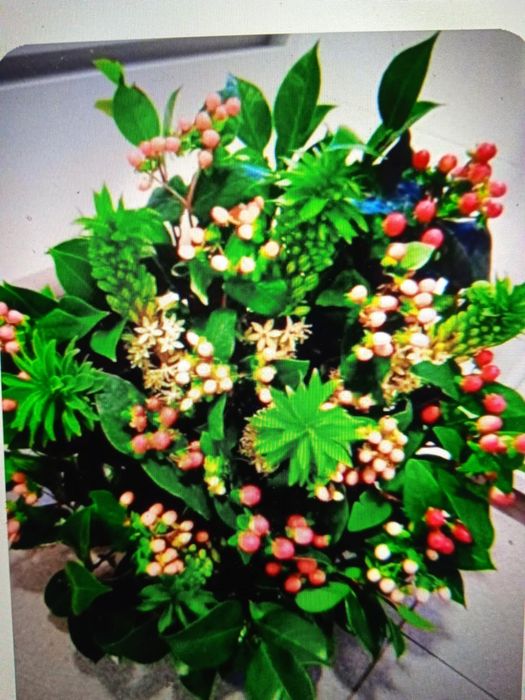 Vendo  flor de hepiricom várias cores, ramos para fazer arranjos