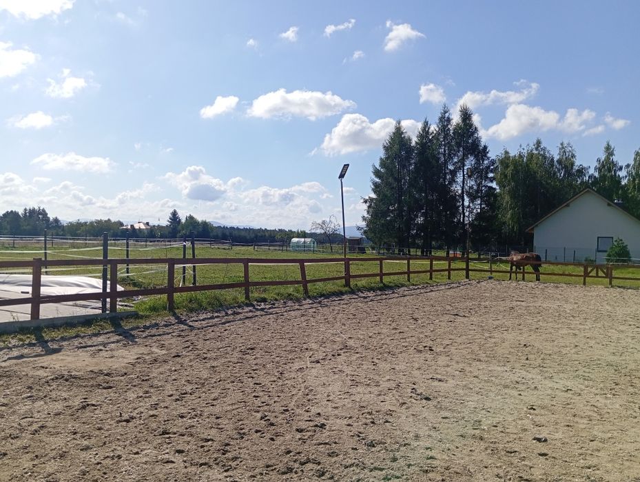 Wolny boks, pensjonat dla konia Pruchna