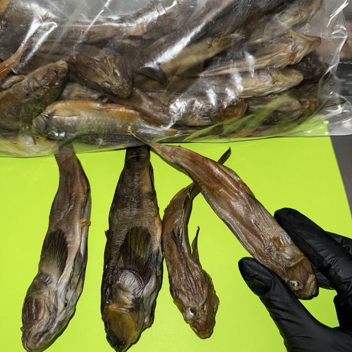 Тарань з ікрою, бичок , судак