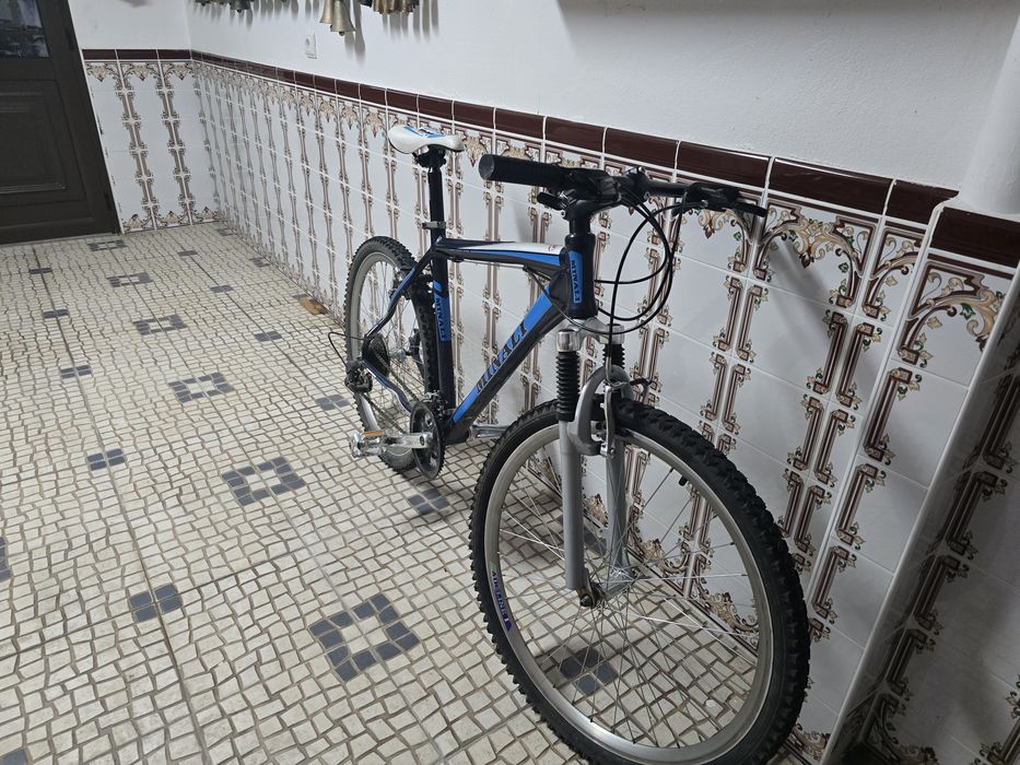Bicicleta Minali