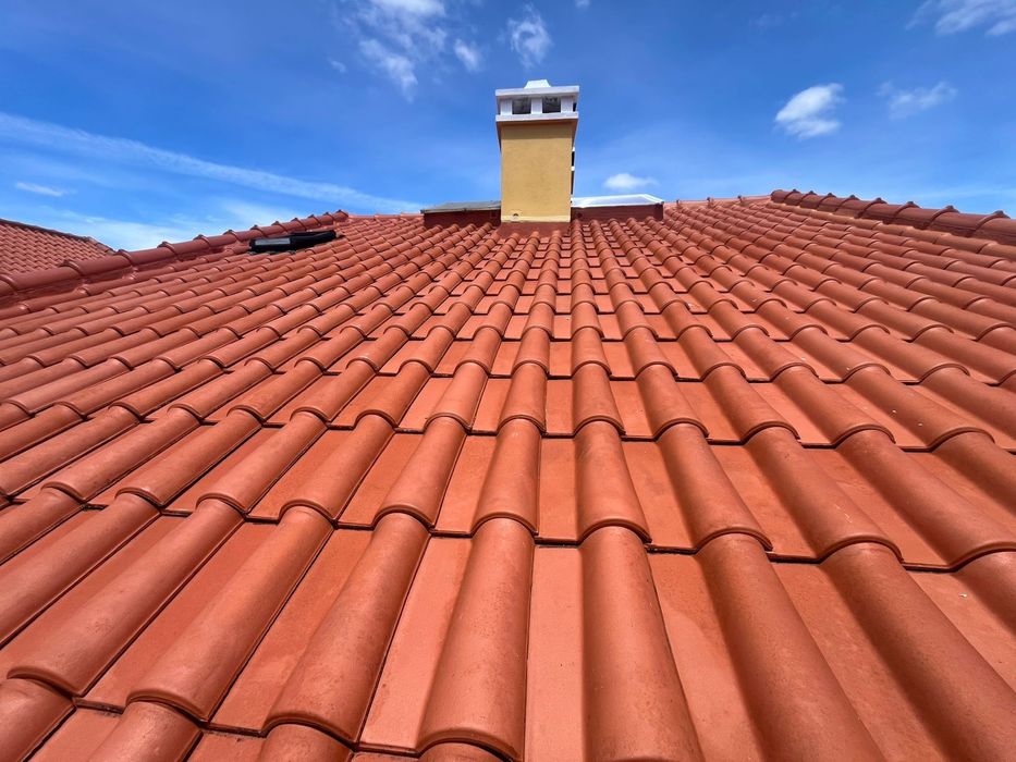 Limpeza e Restauração de Telhados