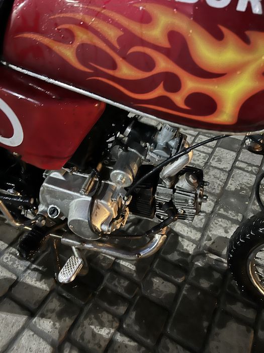 Продам альфу сабур