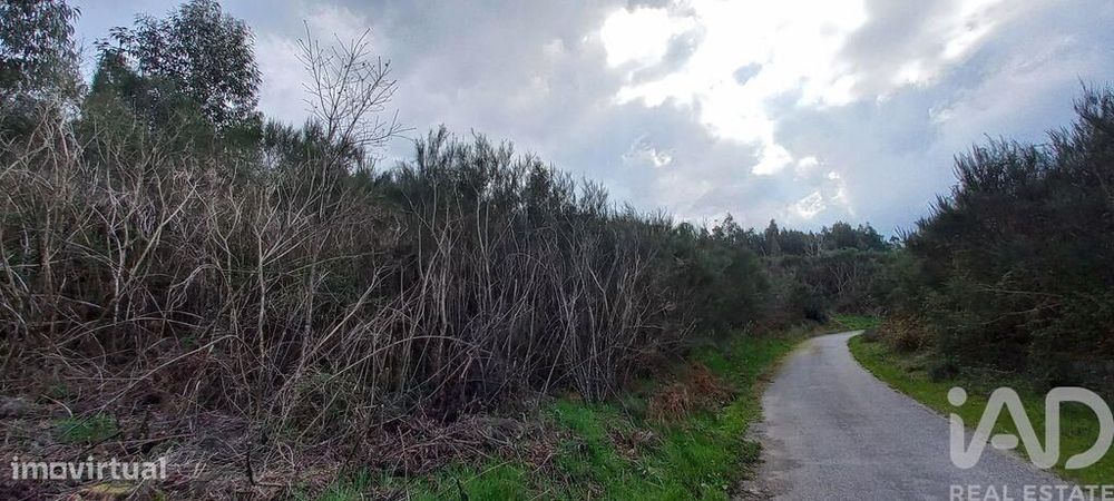 Casa rústica em Cambra e Carvalhal de Vermilhas de 3971 m2