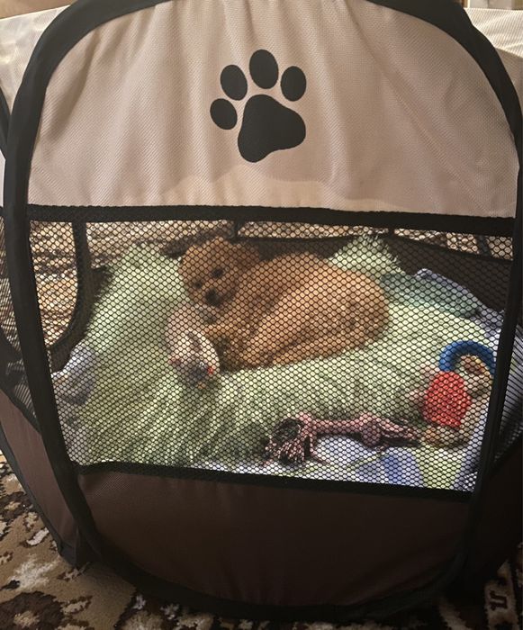 Переносна огорожа для песиків/котиків 73×73×43 см