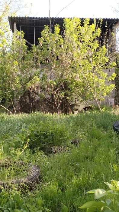 Продаж Ділянки  35 сот. с. Копачів, м . Обухів 14 км