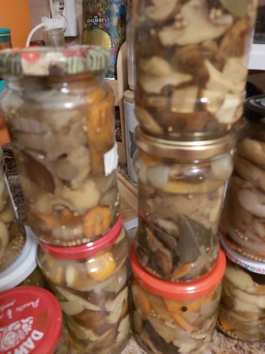 MARNOWANE w occie grzybki--13sztuk