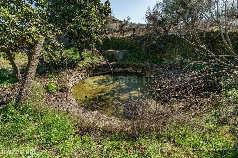 Terreno / Fundão, Martianas