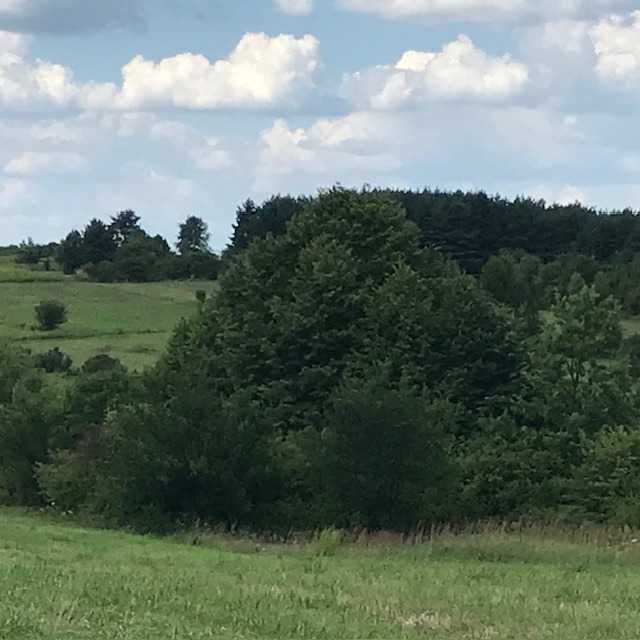 Działka widokowa 1.2  ha  BOLĘCIN