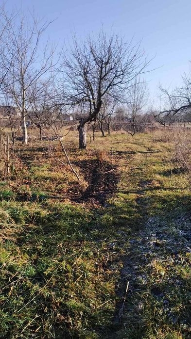 (3) Продам частину будинку в Яришівці 1736