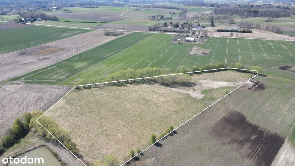 Działka rolna 2,19 ha pod Bartoszycami - Plęsy