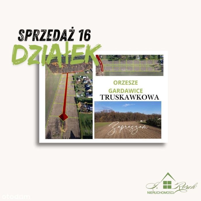 16 Działek Budowlanych – Orzesze, Ul. Truskawkowa