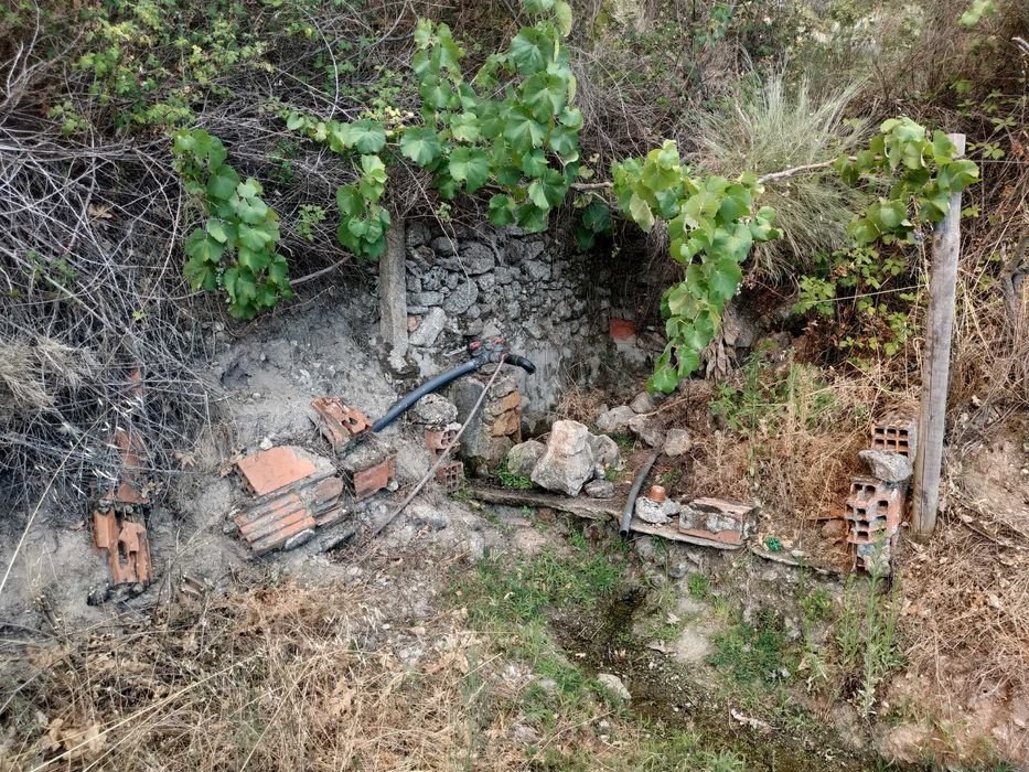 Terreno agrícola em activo.