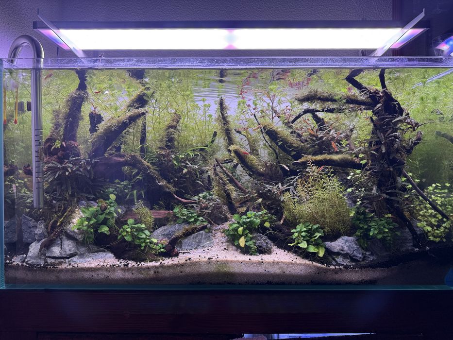 Aquario 80x40x40