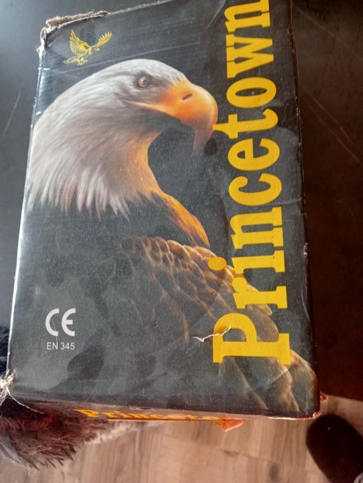 Calçado de trabalho