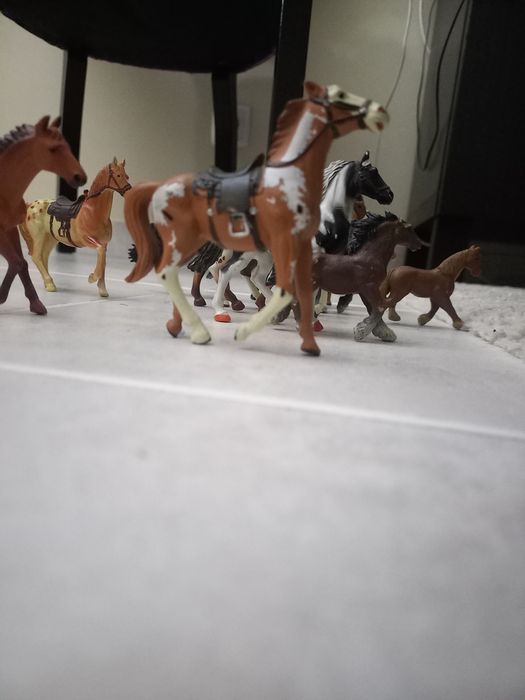 Cavalos com e sem sela