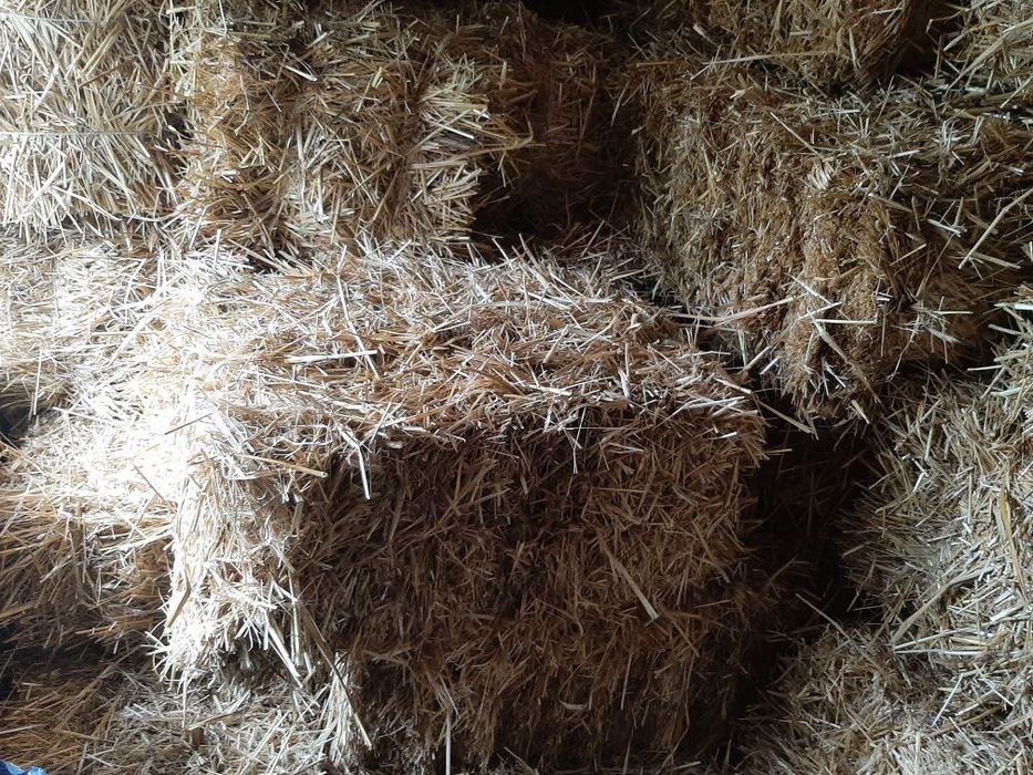 Słoma, presak, kostka, snopek