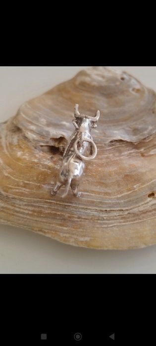 Medalha em prata 925