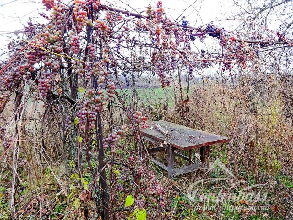 Будинок 55,2 м² в селі Стави, Київська обл. Обухівського р-ну.