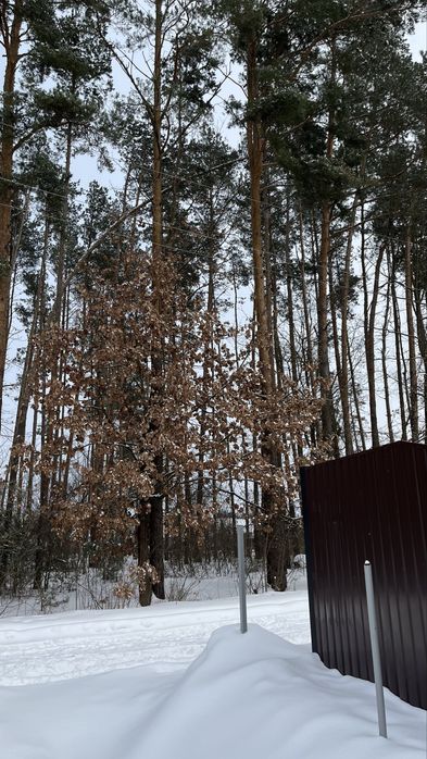 Затишний будинок біля лісу, с. Новогуйвинське, Житомир