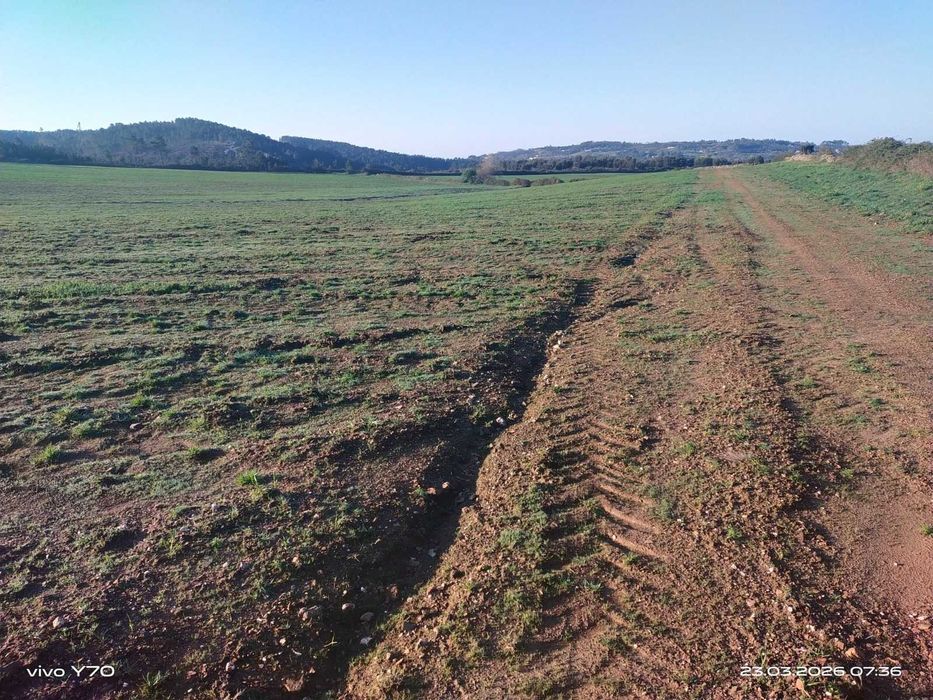 Magnífico monte/herdade, 25 hectares de pura natureza, ideal para quem procura tranquilidade/investimento
