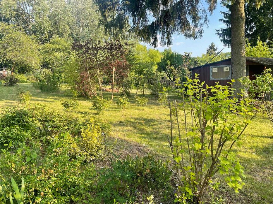 Duża działka ROD 580 m² | 2 połączone działki | Zbożowa | Lublin | prąd - Više