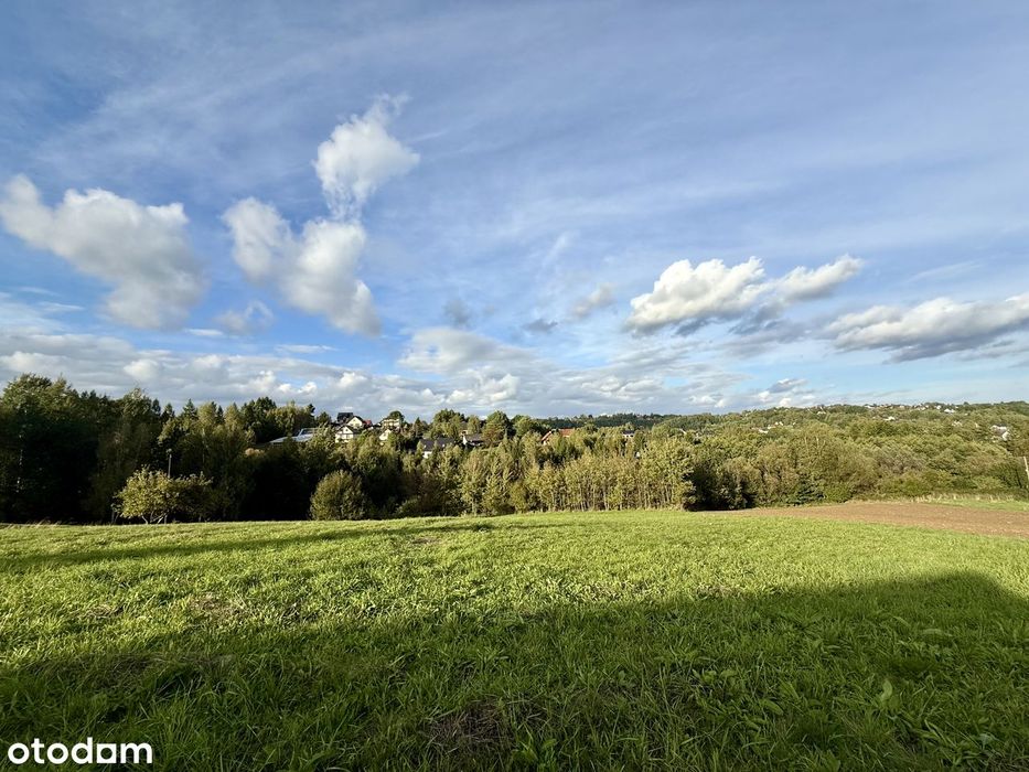 Budowlana działka widokowa 7,7a - Olszowice