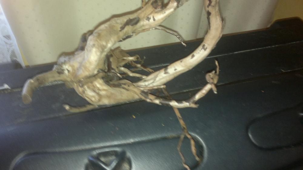 Sprzedam Korzen do akwarium