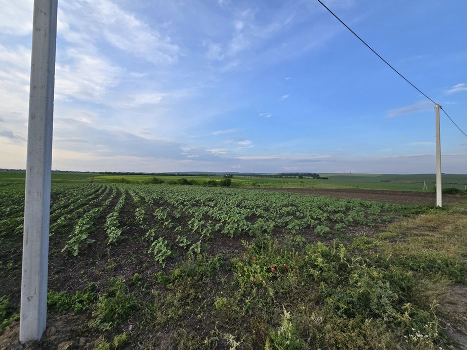 ‼️Продам земельну ділянку у с. Кам'янка!