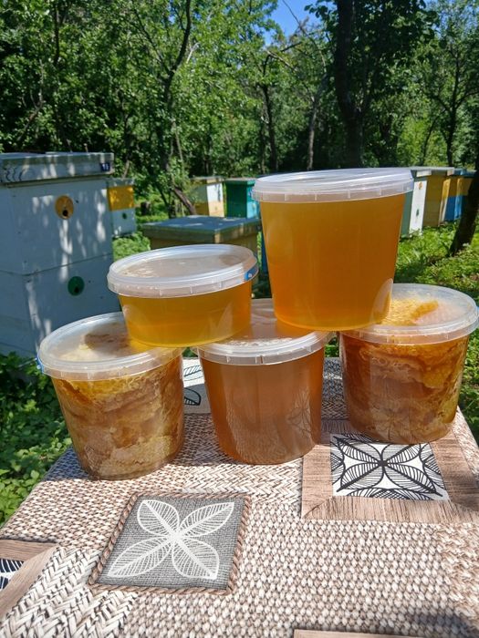 Продам майский мед 2026року