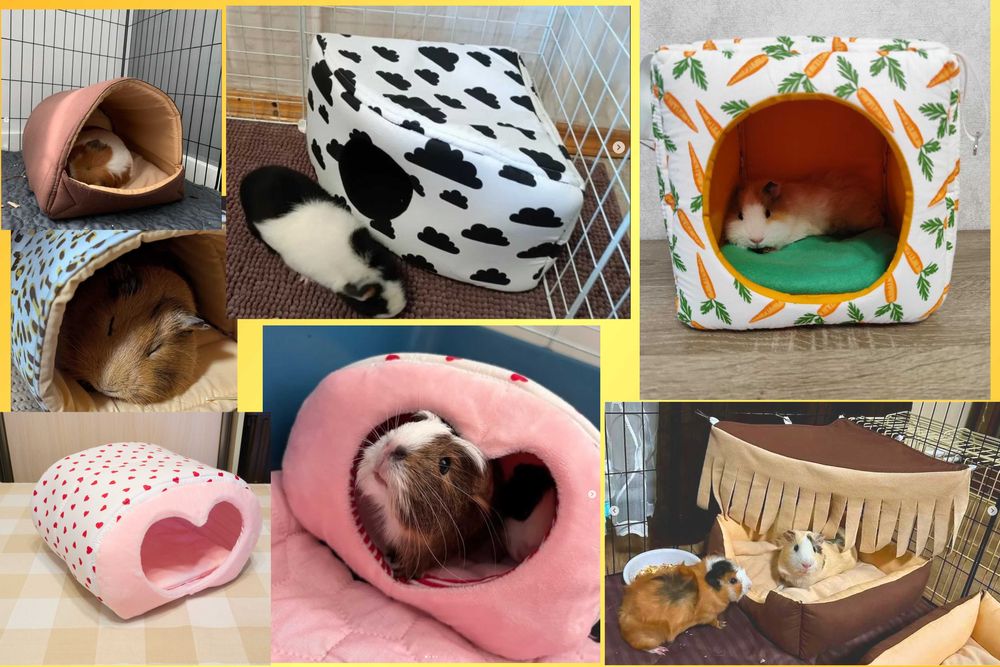 гамак, домик, туннель для крыс, морской свинки, дегу, грызунов.