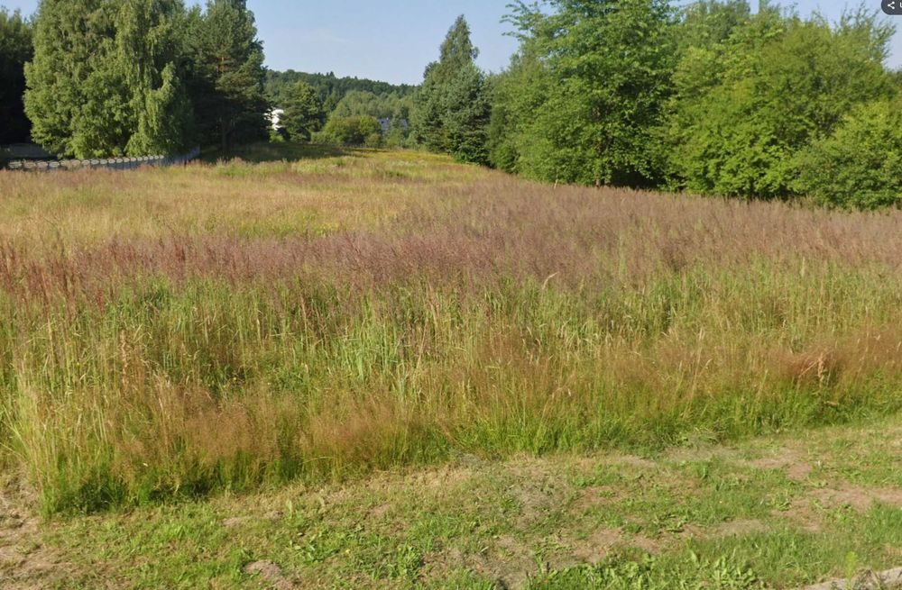 Sprzedam działkę pod zabudowę, 0,96 ha,  SIODŁA –  7 km od KIELC