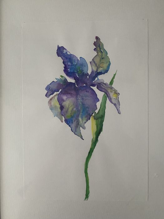 Kwiat akwarela rysunek obraz