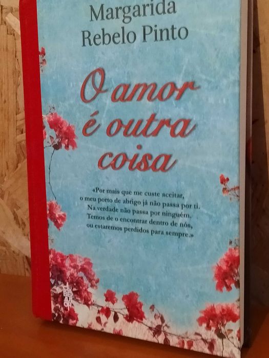 O amor é outra coisa   - Margarida Rebelo Pinto