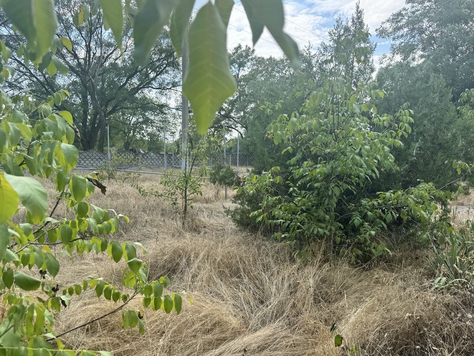 Продаж Адмінбудіілі з власною территорією м.Снігурівка Башт.  р-ну
