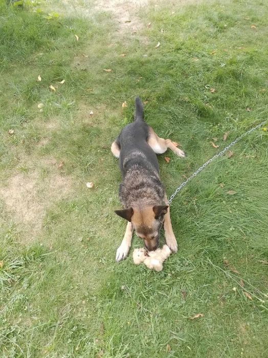 Kto podaruje Wirusowi domek?