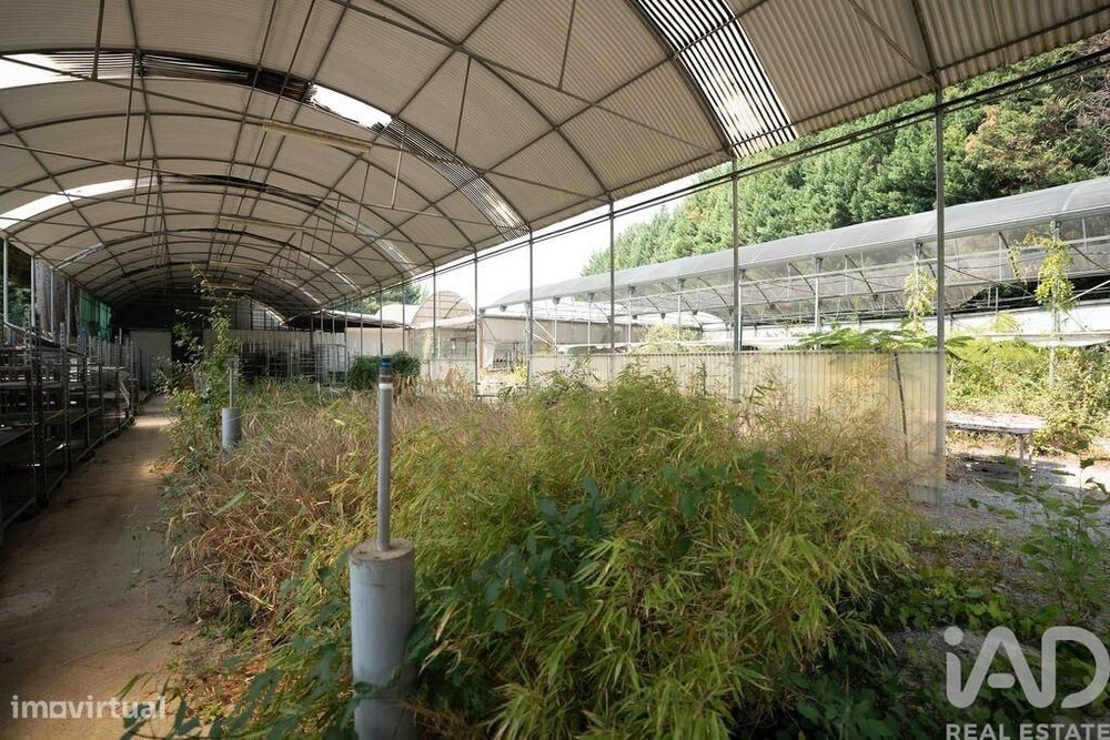 Terreno para construção em Borbela e Lamas de Olo de 2750,00 m2