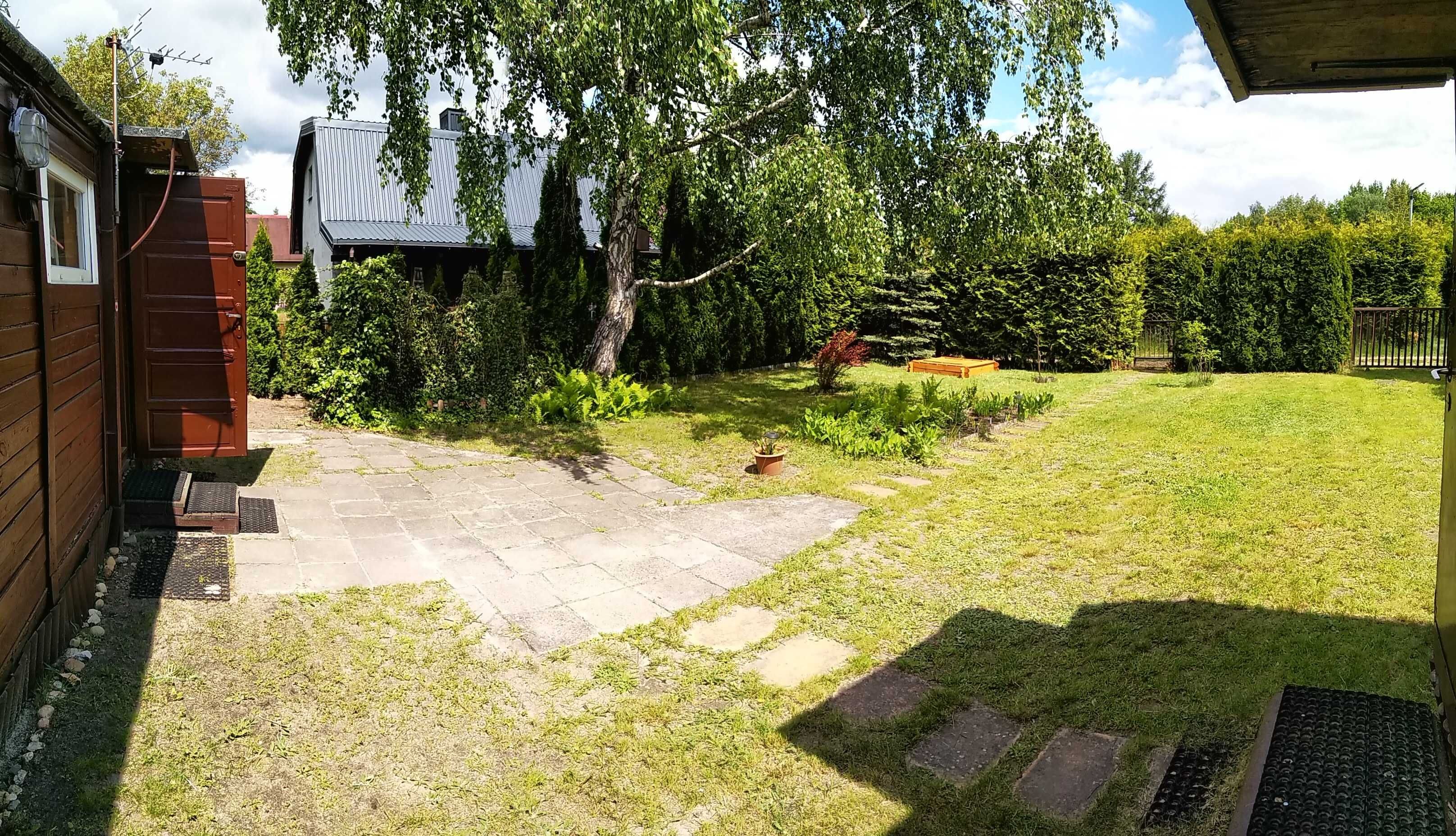 dzia-ka-300m2-rod-elektron-szczaki-szczaki-olx-pl