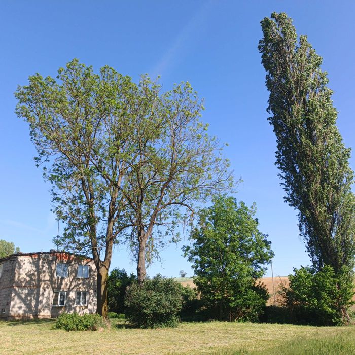 Dom jednorodzinny z dużą działką