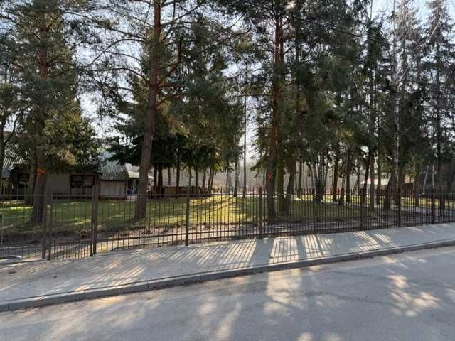 Zlecę wycinkę drzew w zamian za pozyskany materiał PUŁTUSK