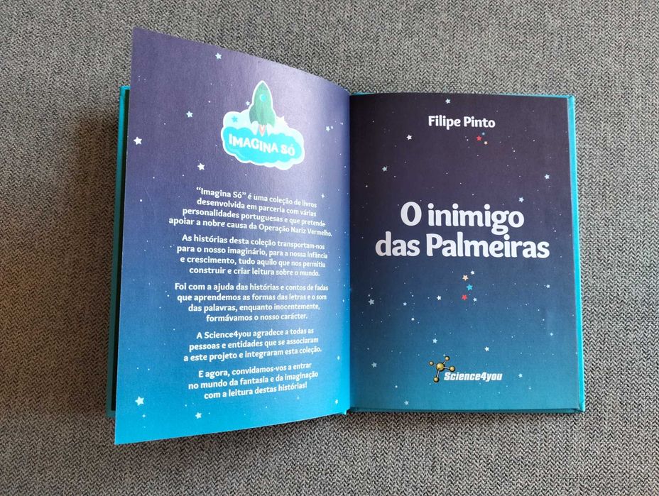 Livro juvenil "O inimigo das palmeiras" de Filipe pinto