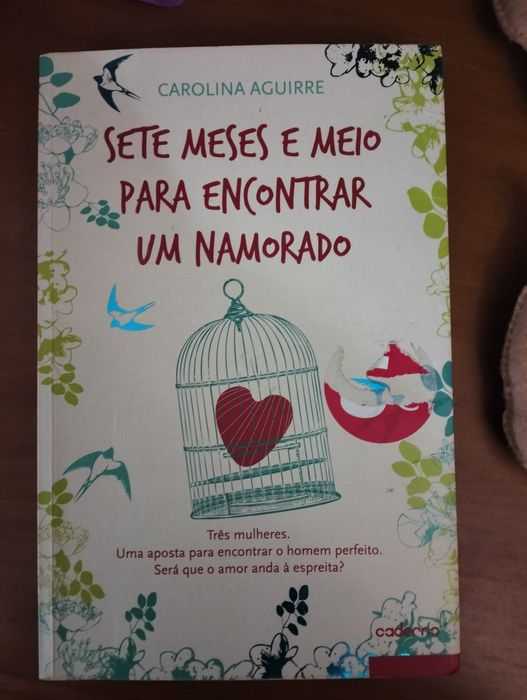 Livro sete meses e meio para encontrar um namorado